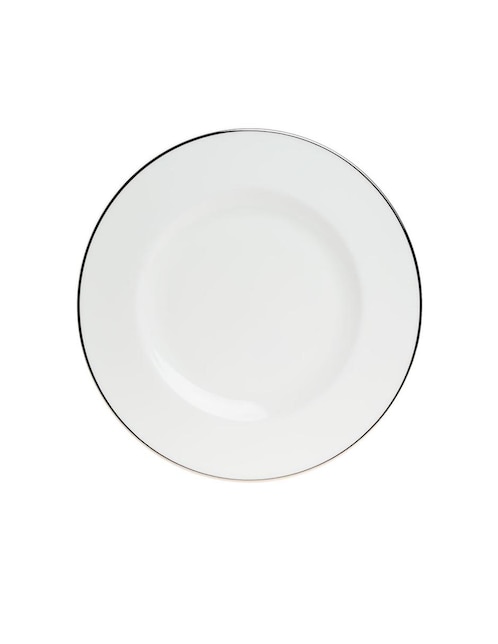 Plato de porcelana 1