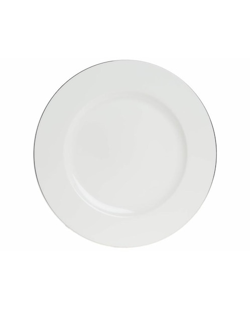 Platón de porcelana 1