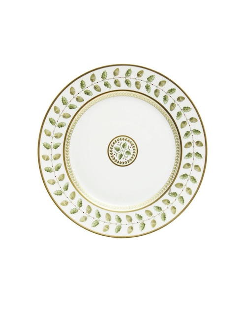 Plato de porcelana 1