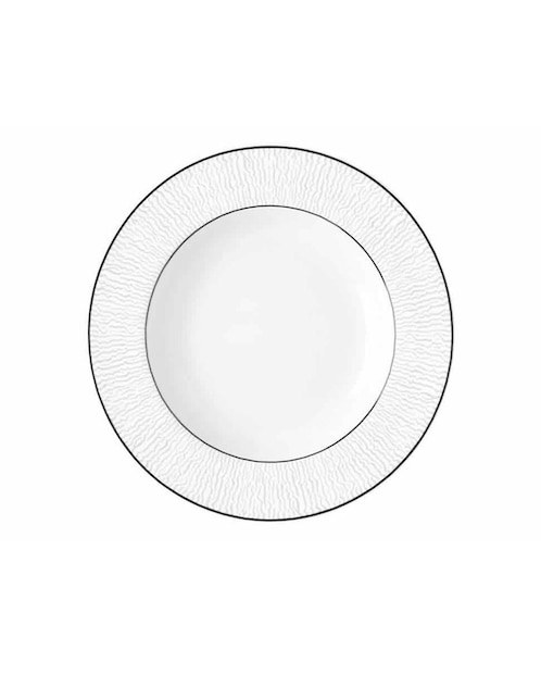 Plato de porcelana 1