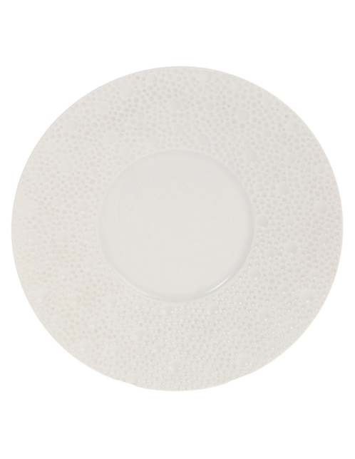 Plato de porcelana 1