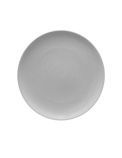 Plato trinche de porcelana 1