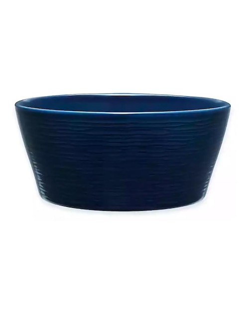 Bowl de porcelana 1