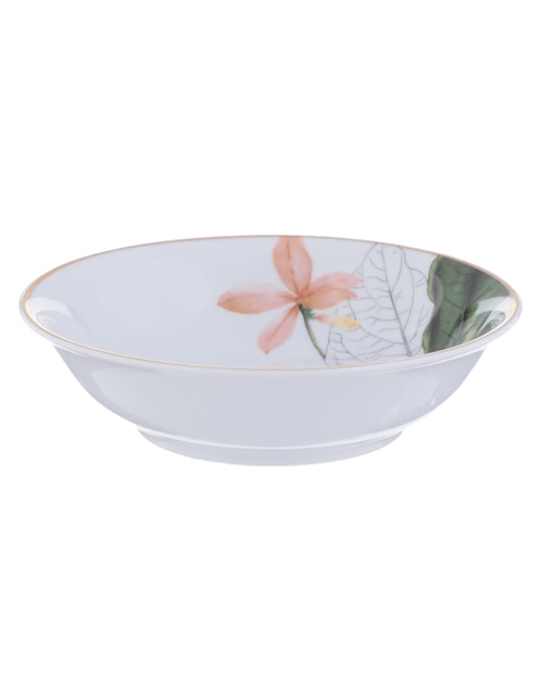 Plato fruta Amazonia de porcelana 1