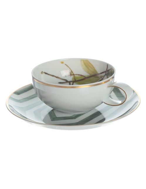 Taza terno Amazonia 1