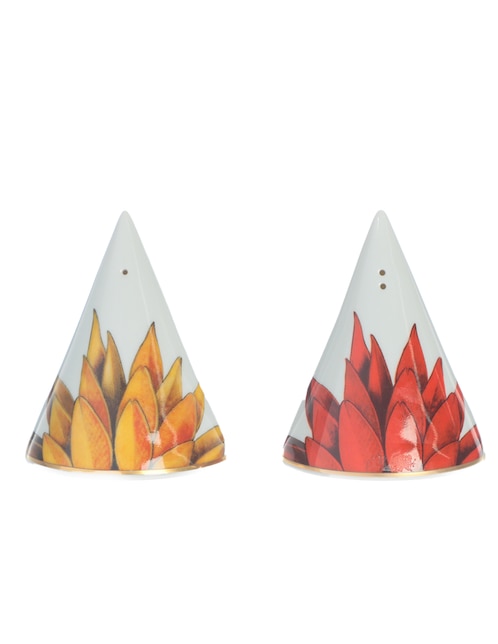 Set salero y pimentero Amazonia de porcelana 1