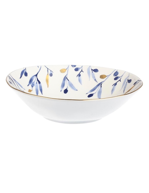 Plato sopa Premium de porcelana 1