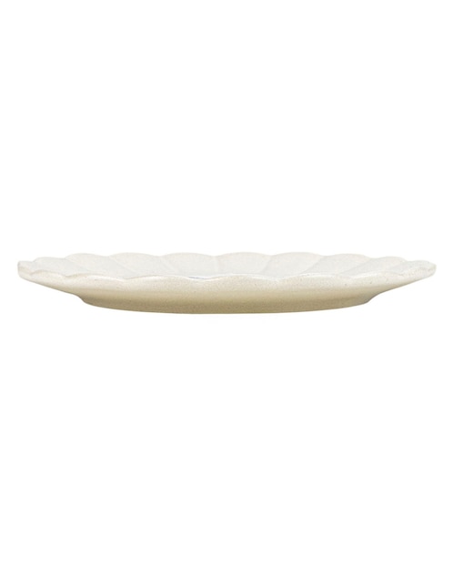 Plato trinche Deluxe de cerámica 1