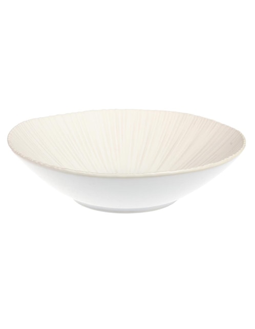 Bowl Home Use de porcelana 1