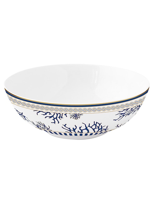 Bowl Corallo de porcelana 1