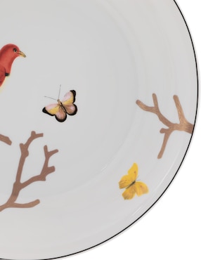Plato hondo Bernardaud Aux Oiseaux de porcelana