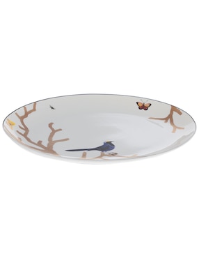 Platón Bernardaud Aux Oiseaux de porcelana