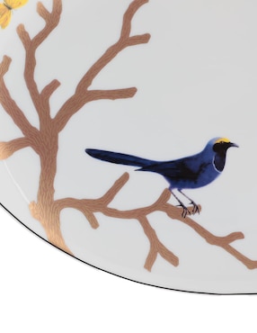 Platón Bernardaud Aux Oiseaux de porcelana