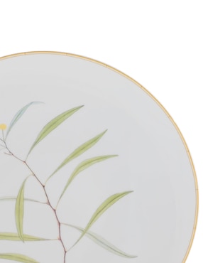 Plato trinche Bernardaud Jardin Indien de porcelana
