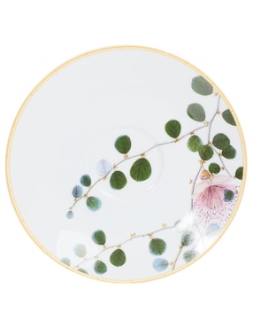 Set de tazas terno Bernardaud Jardin Indien 8 piezas