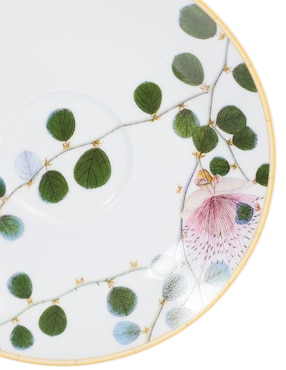 Set de tazas terno Bernardaud Jardin Indien 8 piezas