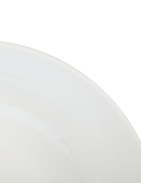 Ensaladera Bernardaud Sauvage de porcelana