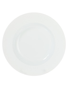 Plato sopa Bernardaud Eucume de porcelana
