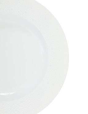 Plato sopa Bernardaud Eucume de porcelana