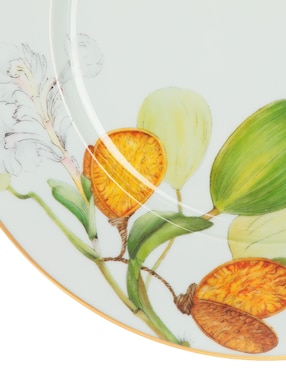 Plato trinche Vista Alegre Amazonia de porcelana