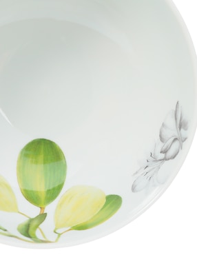 Bowl Vista Alegre Amazonia de porcelana