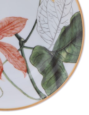 Plato fruta Vista Alegre Amazonia de porcelana