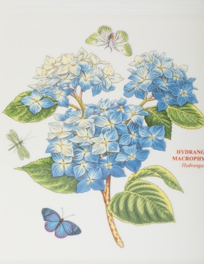 Vajilla cerrada Portmeirion botanic garden de porcelana para 4 personas