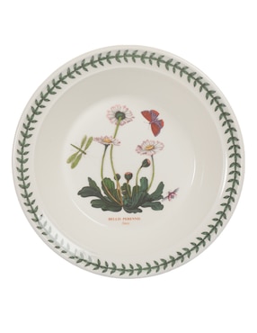 Plato sopa Portmeirion Botanic Garden de porcelana