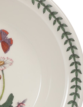 Plato sopa Portmeirion Botanic Garden de porcelana