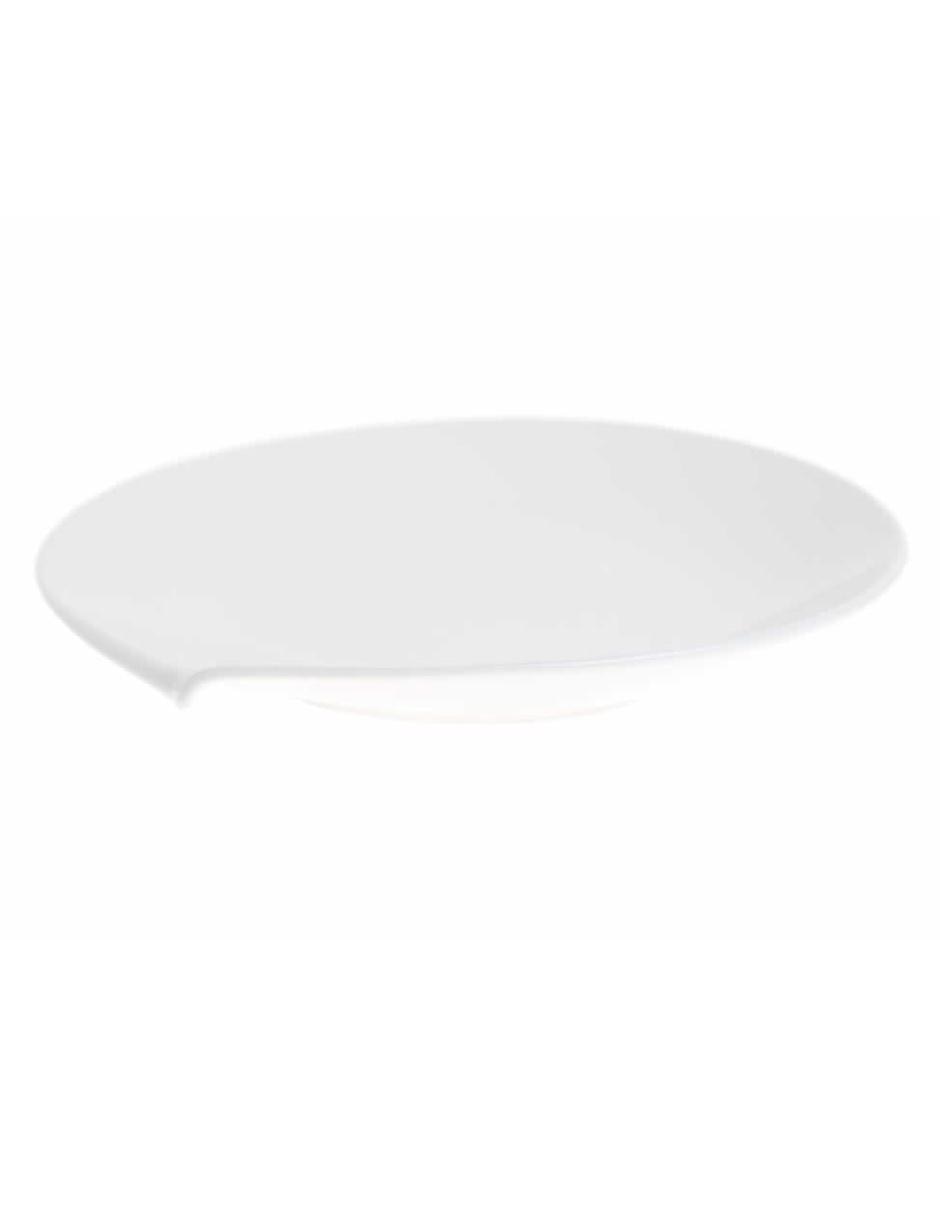 Plato de porcelana 2