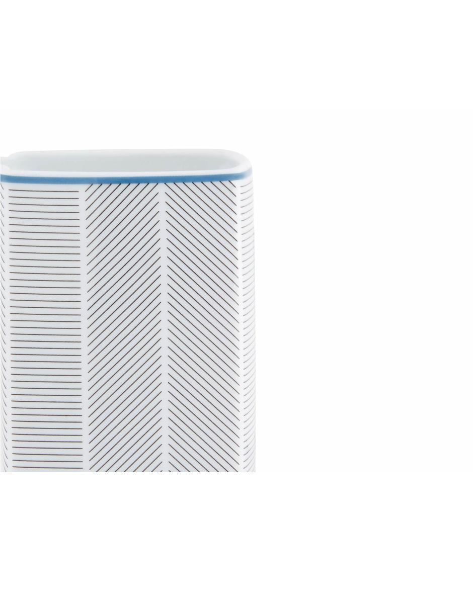 Contenedor de porcelana 2