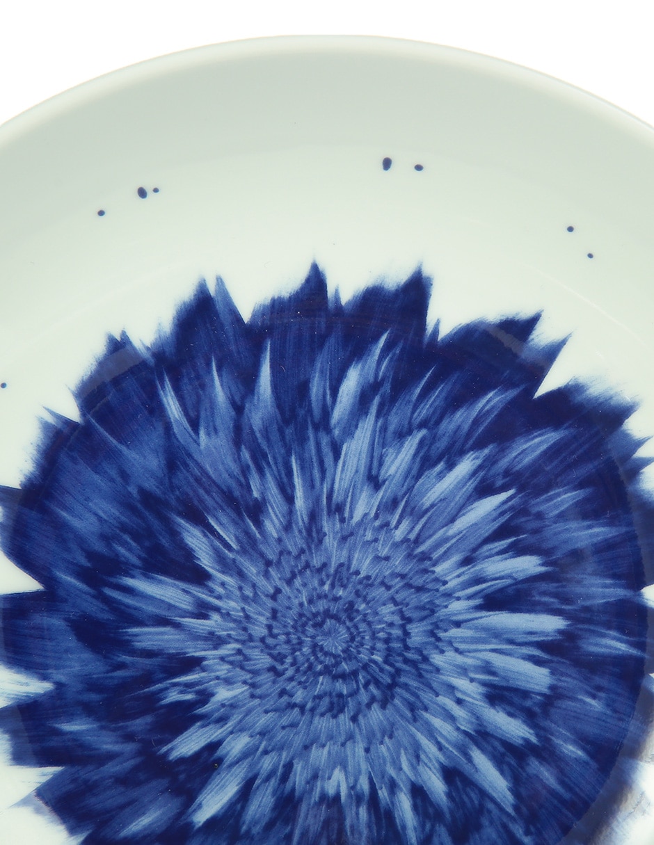 Plato sopa Coupe in Bloom de porcelana 3