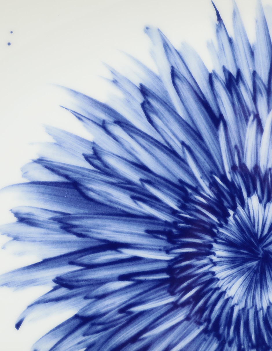 Platón In Bloom de porcelana 3