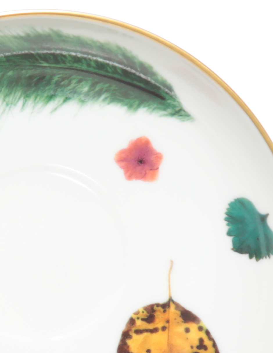 Taza té Caribe 2 piezas 8