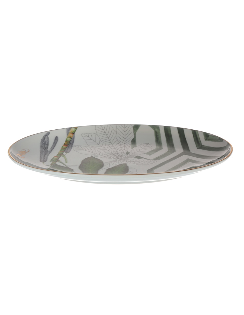 Platón Amazonia de porcelana