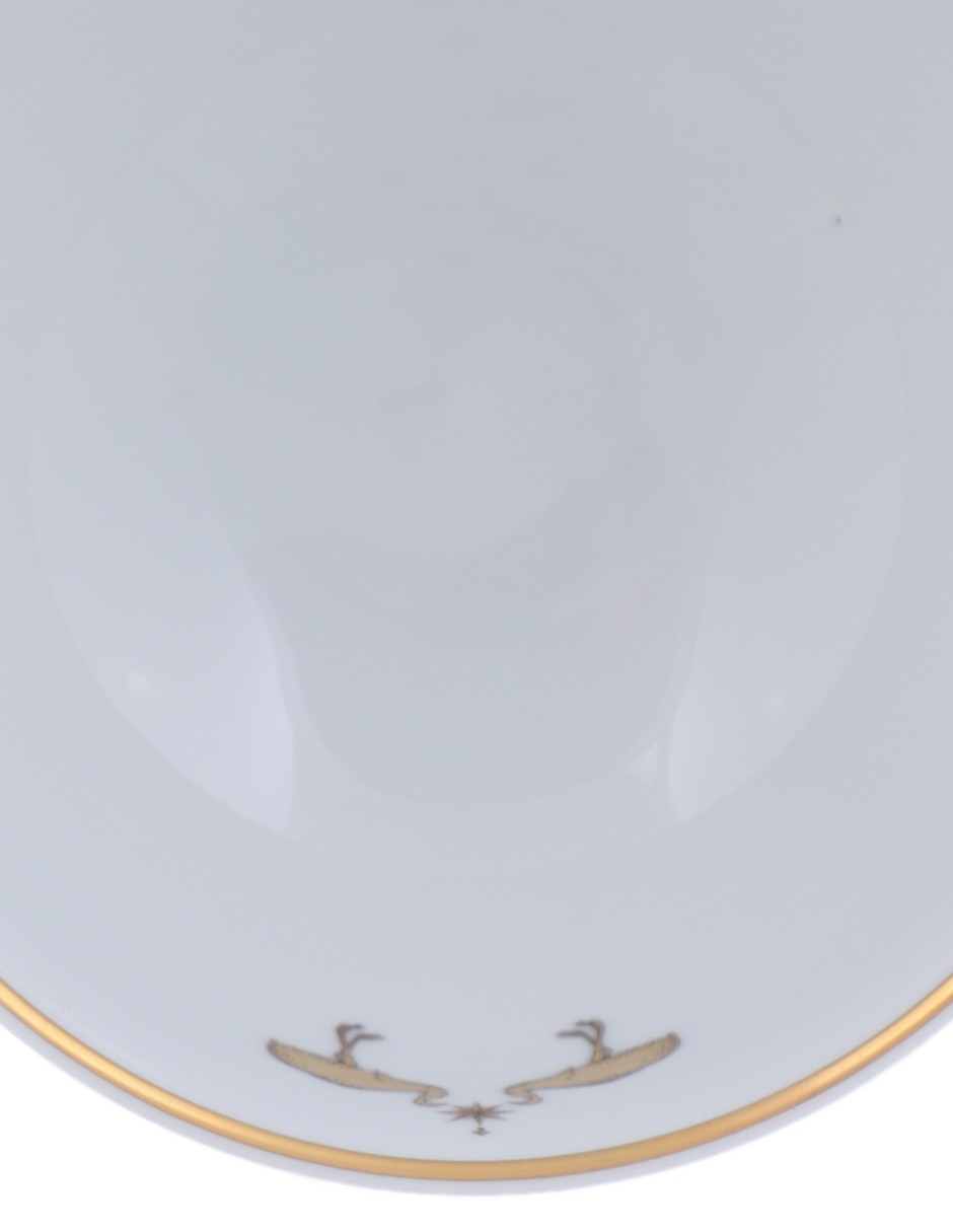Bowl Amazonia de porcelana 3