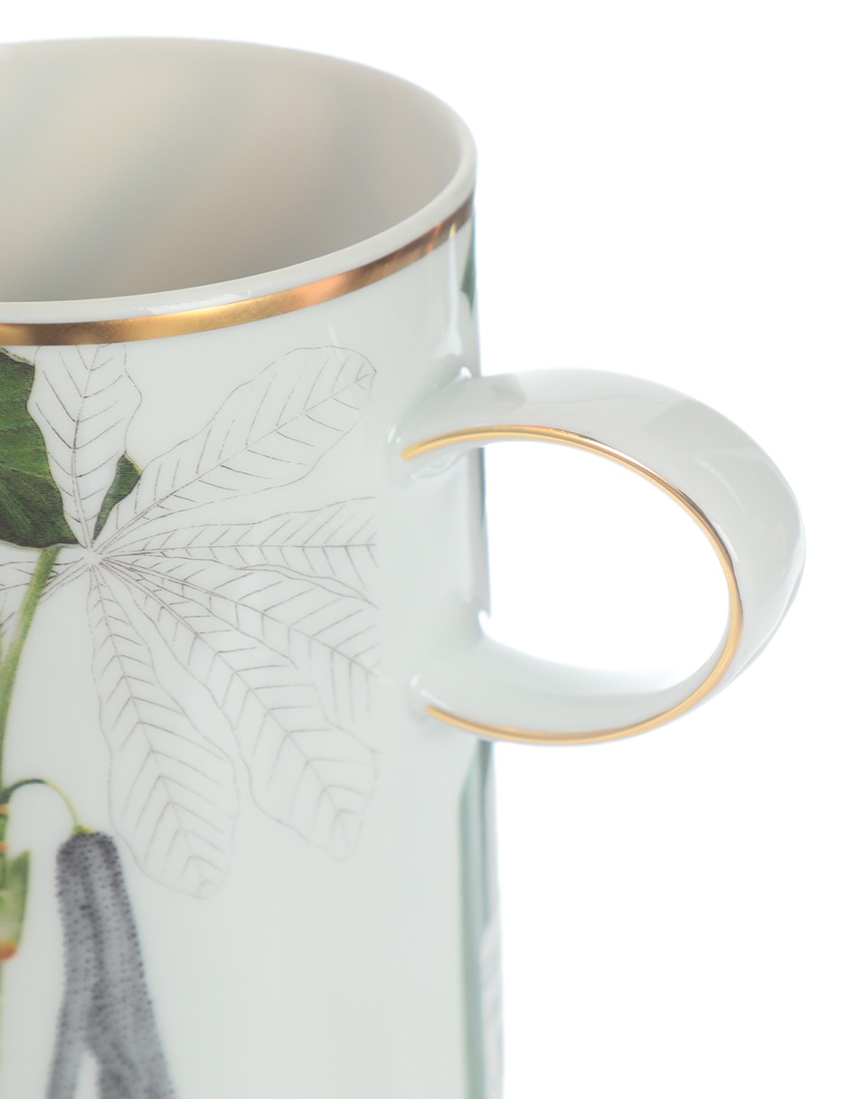 Taza clásica Amazonia 4