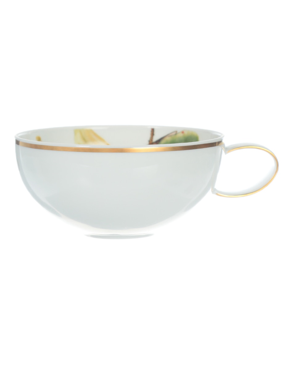 Taza terno Amazonia 5