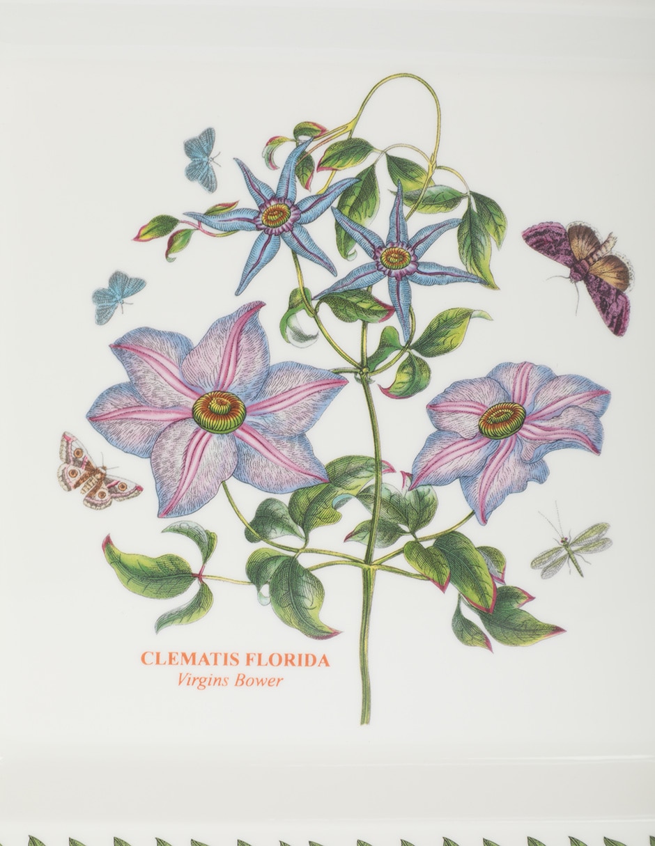 Vajilla cerrada botanic garden de porcelana para 4 personas 6