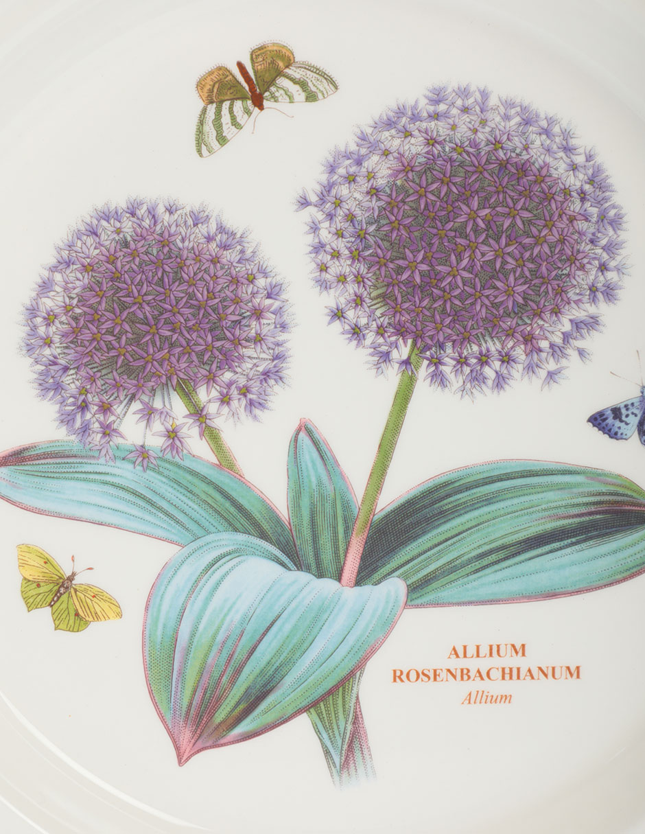 Vajilla cerrada botanic garden de porcelana 6