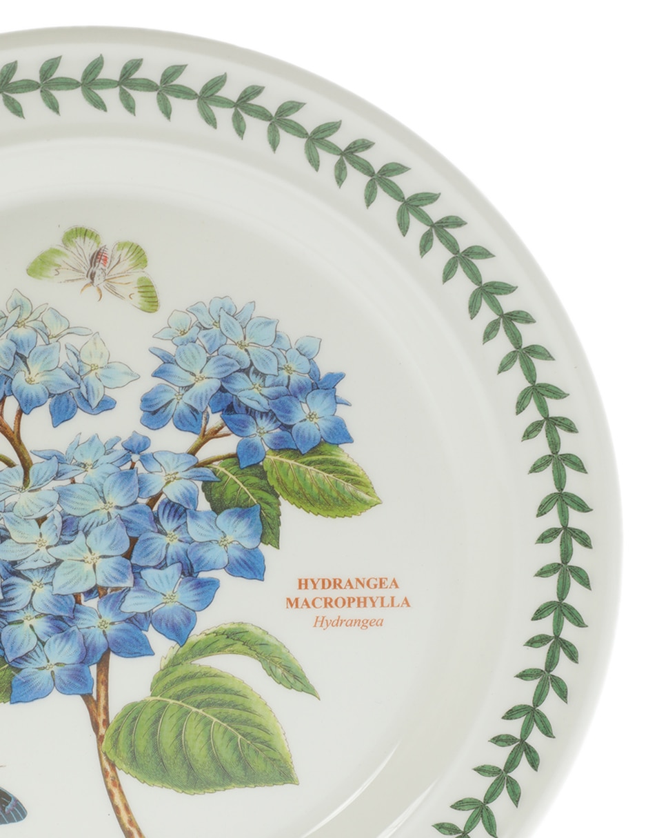 Plato trinche Botanic Garen de porcelana