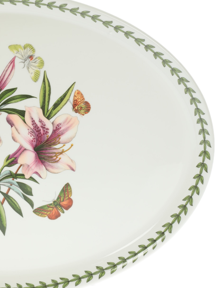 Platón Botanic Garden de porcelana 3