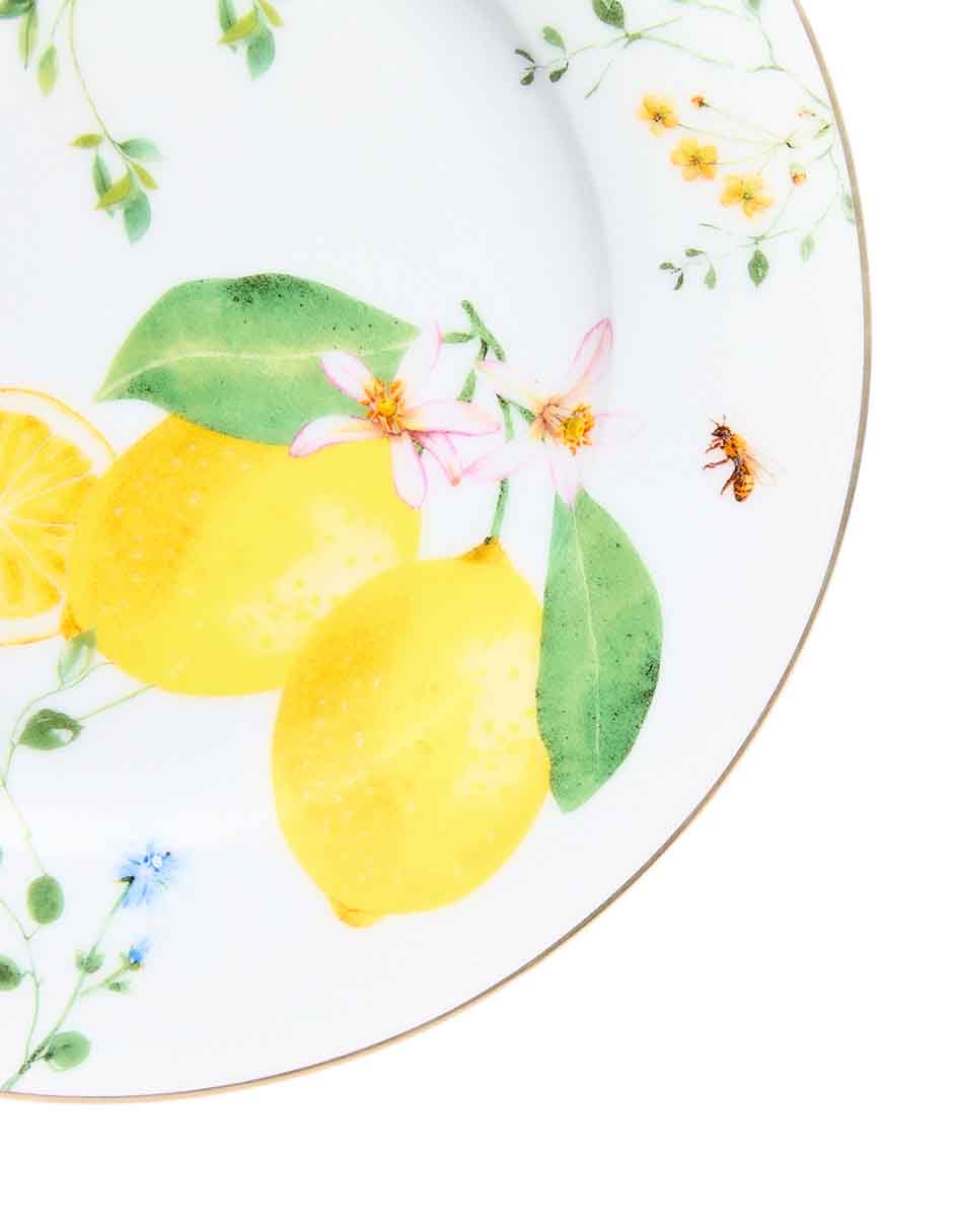 Vajilla fleurs et citrons de porcelana para 4 personas 10