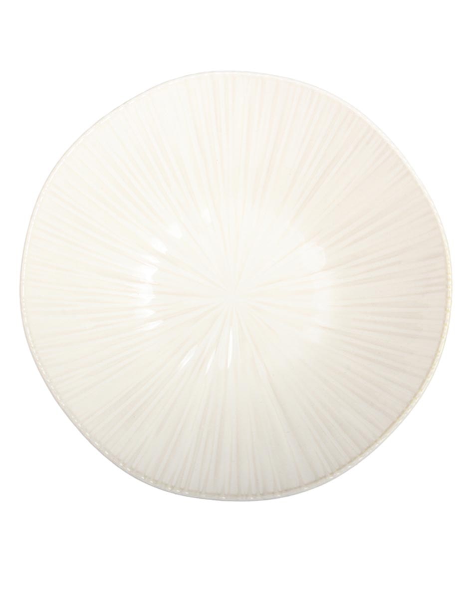 Bowl Home Use de porcelana 3