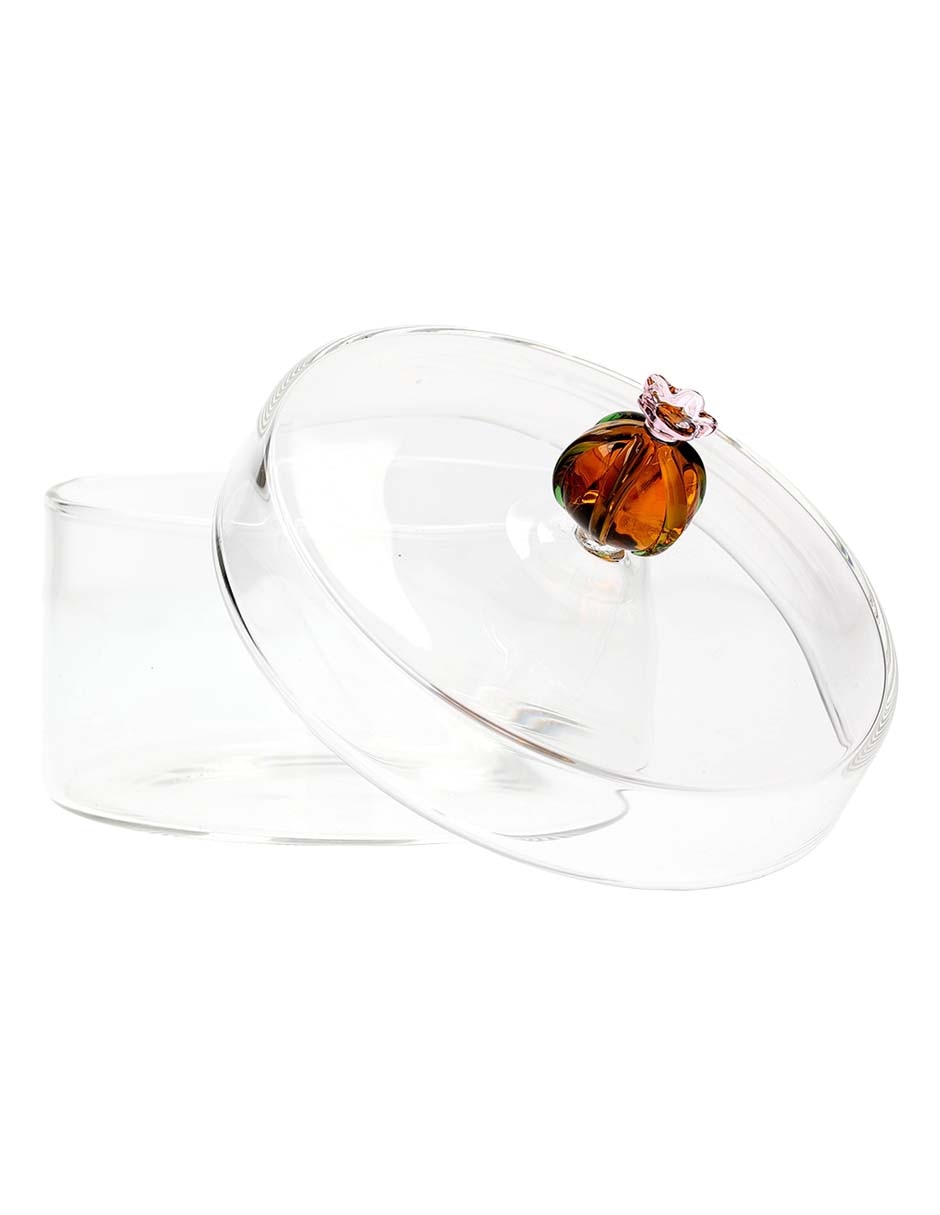 Contenedor Cactus de borosilicato 3