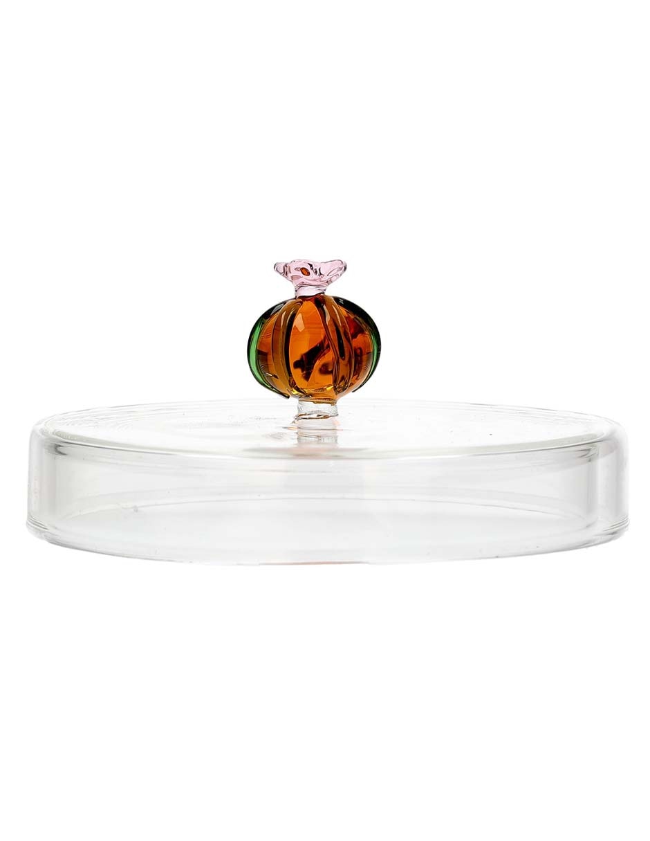 Contenedor Cactus de borosilicato 4