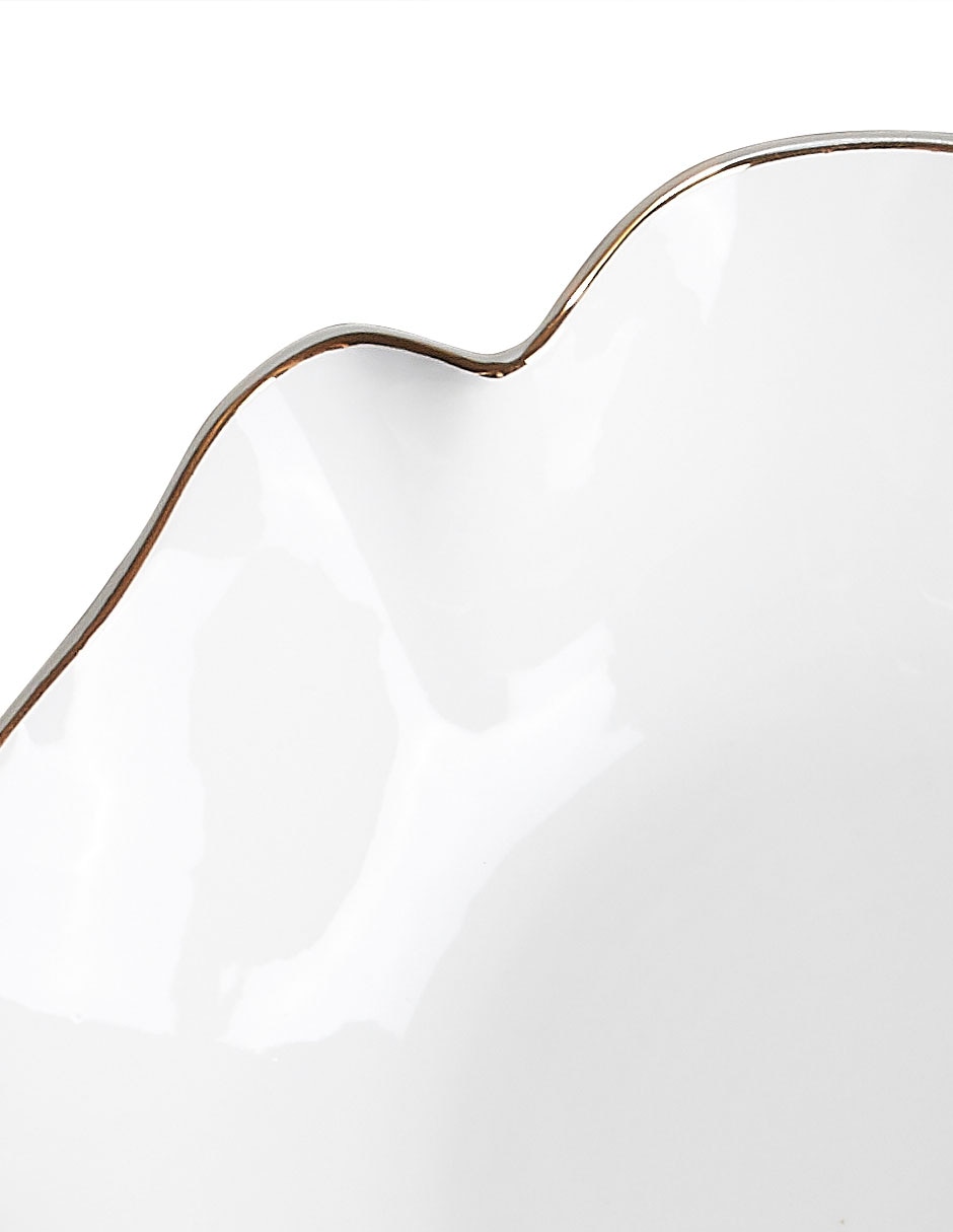 Bowl Oasis de porcelana 4